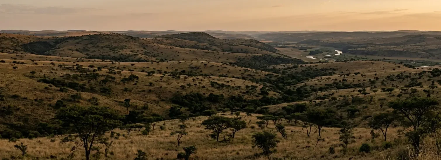 Vast mountainous landscape with lush vegetation and a winding river in the distance, under a warm sunset sky.